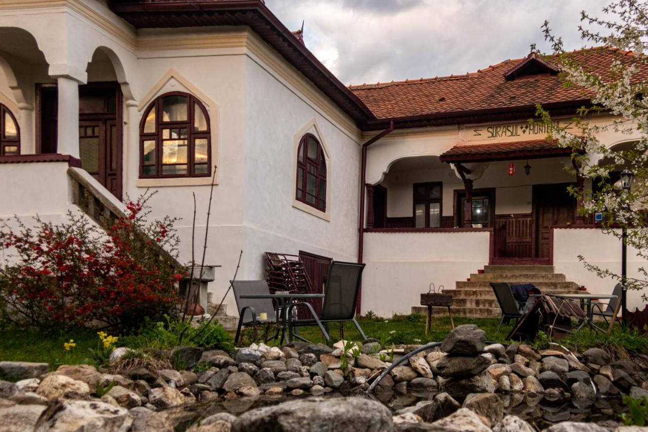 Surasul Muntelui Apartment Dragoslavele Exterior photo