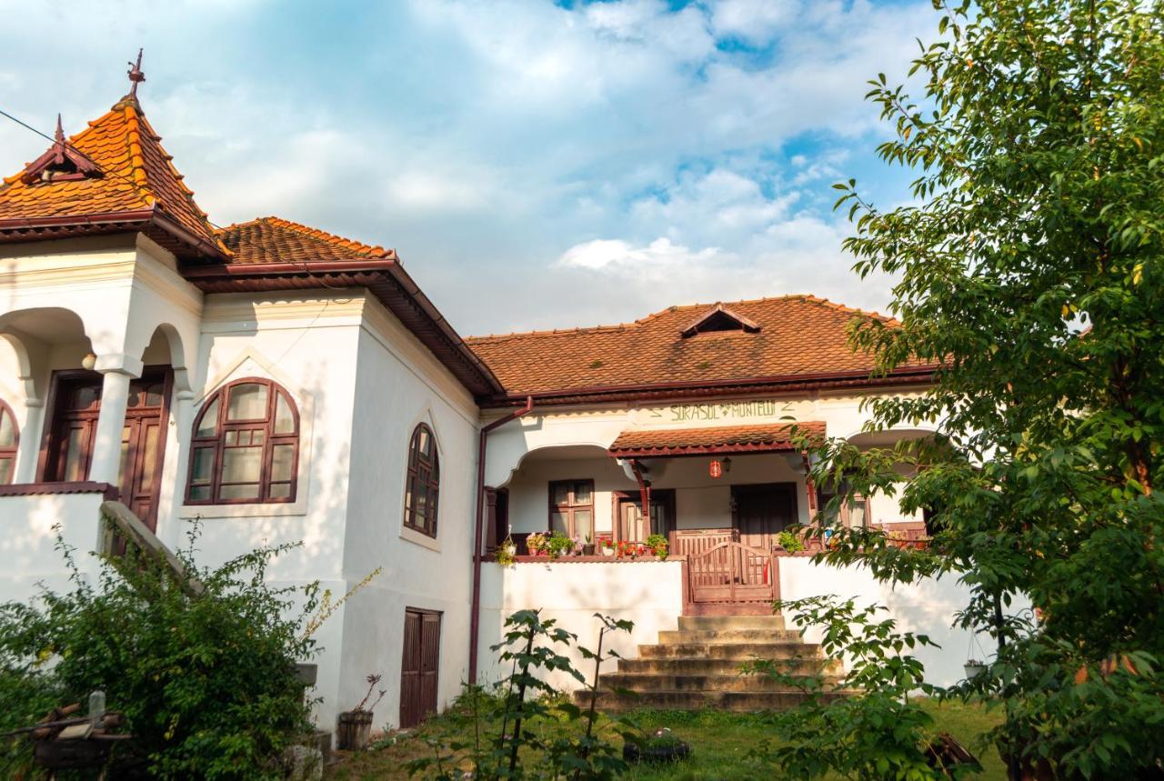 Surasul Muntelui Apartment Dragoslavele Exterior photo