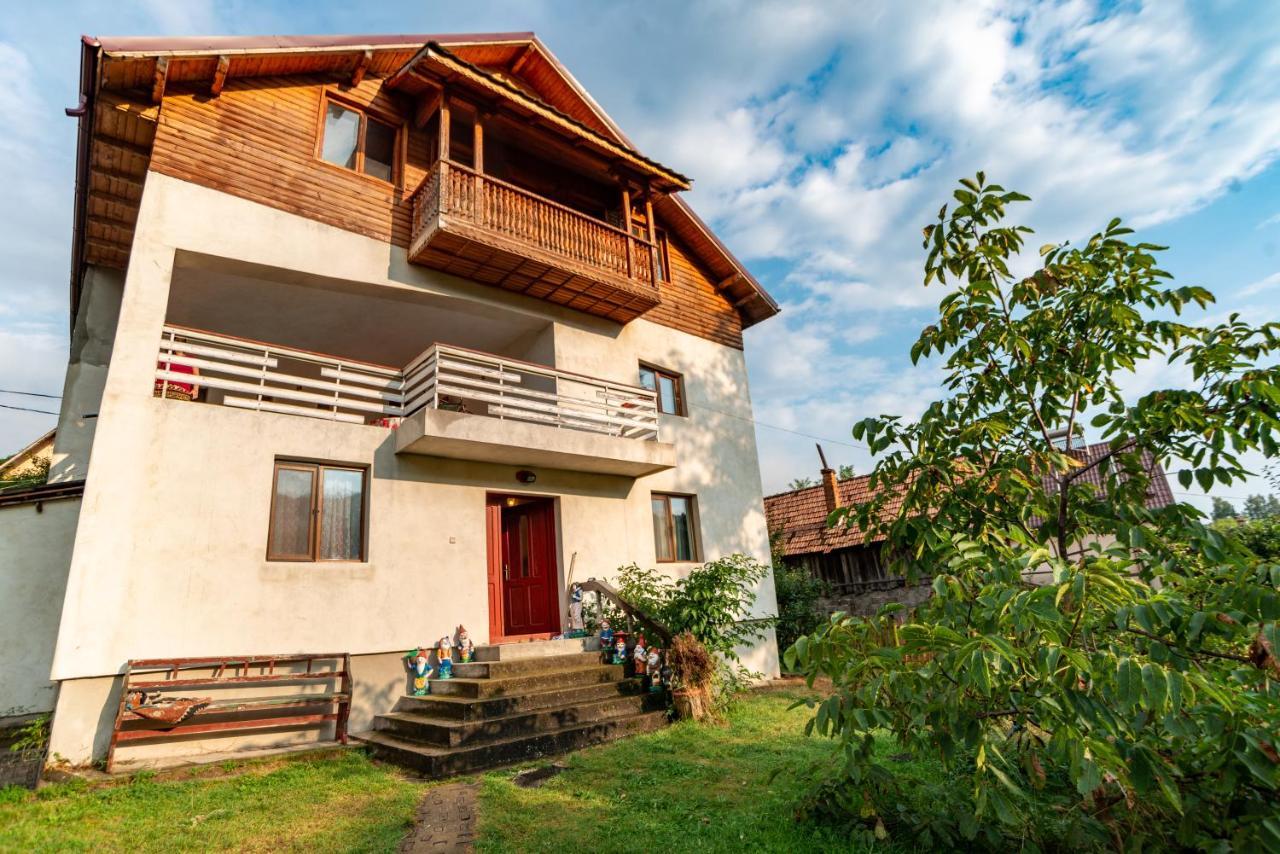 Surasul Muntelui Apartment Dragoslavele Exterior photo