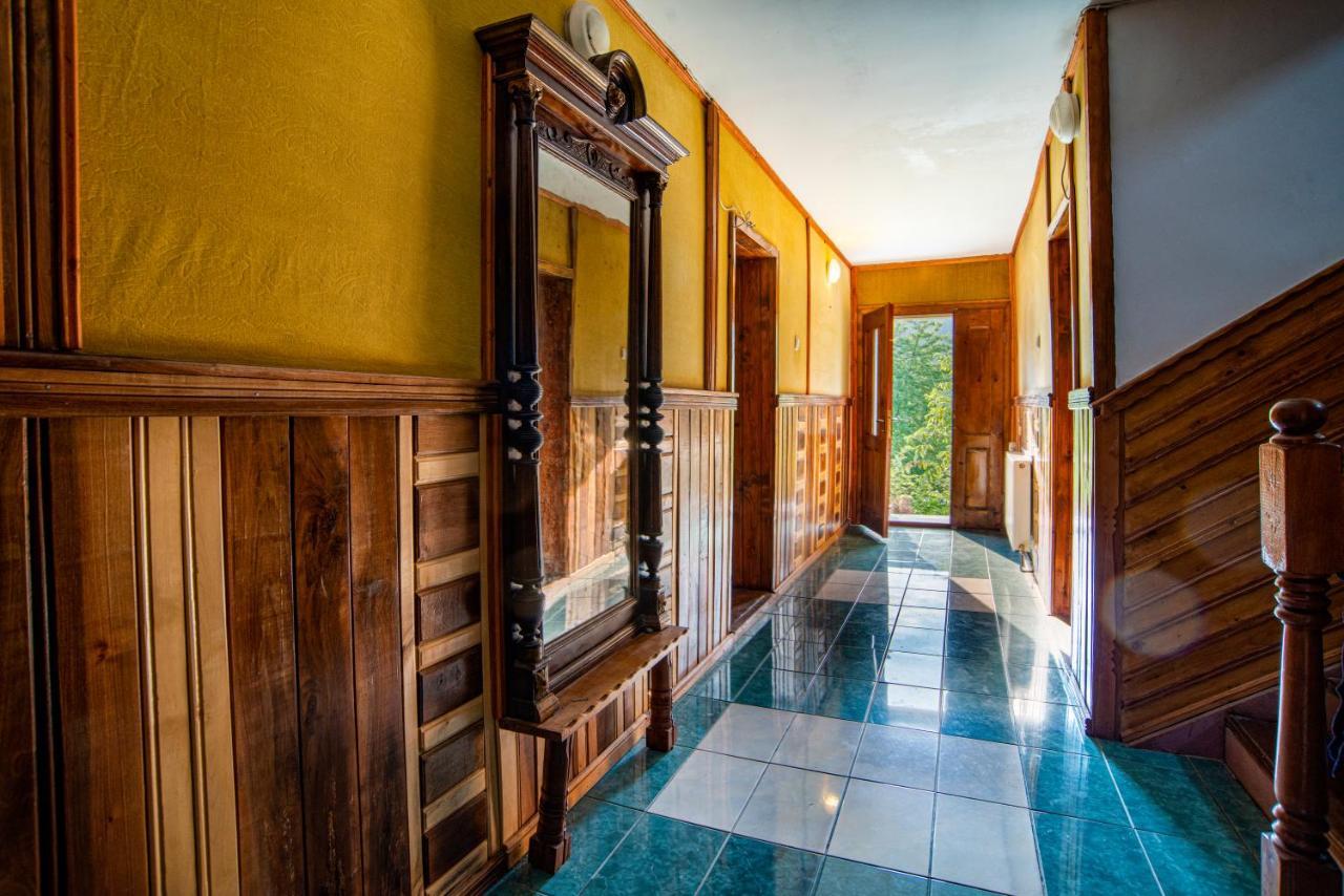 Surasul Muntelui Apartment Dragoslavele Exterior photo