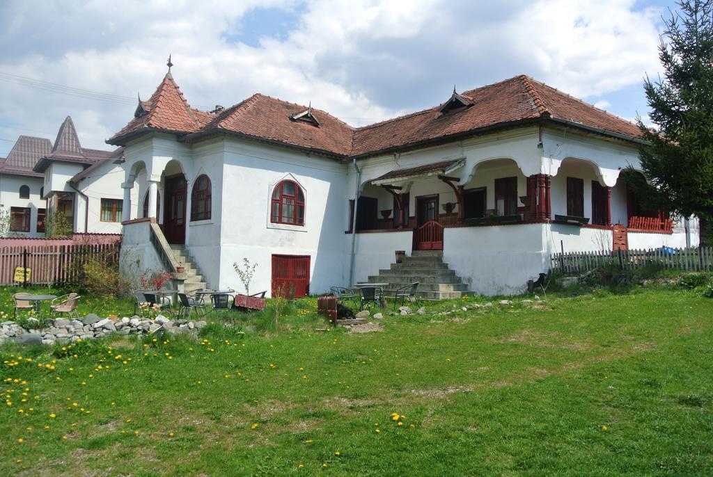 Surasul Muntelui Apartment Dragoslavele Exterior photo